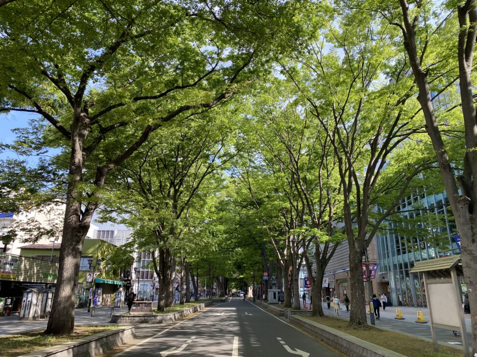 景観計画・環境計画